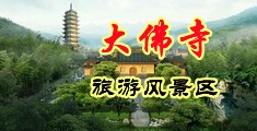 调教下药下体中国浙江-新昌大佛寺旅游风景区